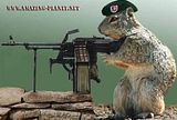 squirrel_machine_gun.jpg image by kings23kill